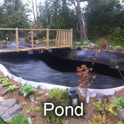 1pond