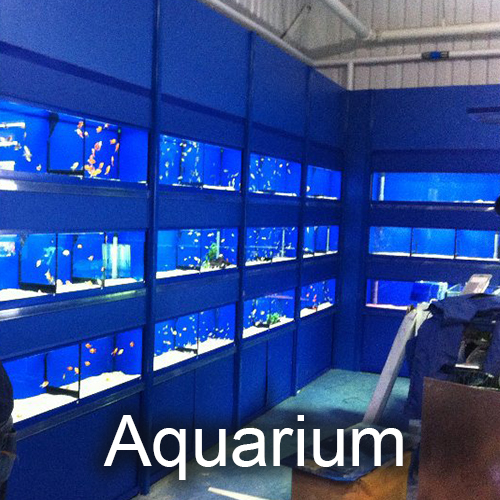 aquarium