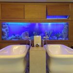 Tropical Fish Tanks Northern Ireland