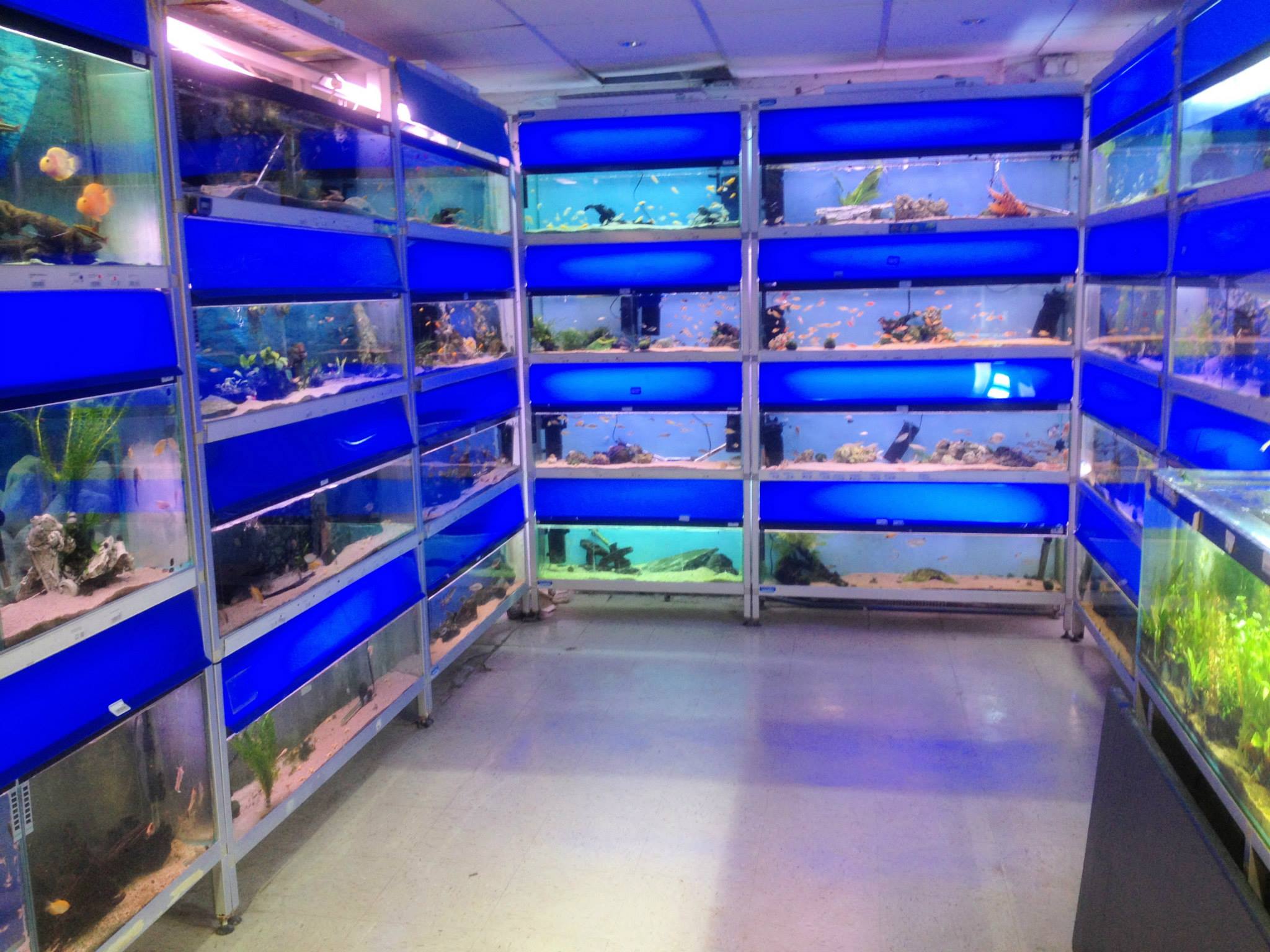 Pet shop refit for customer in wales Clearly Aquatics Aquarium