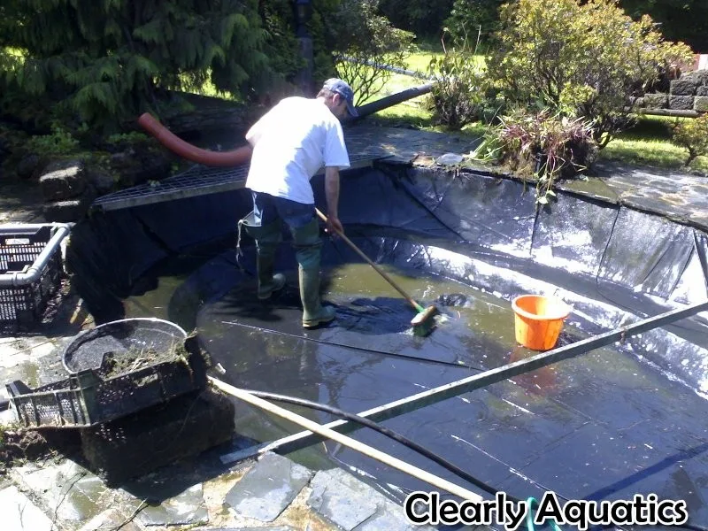 pond cleaning maintenance , equipment servicing, fish health and consultancy services for all things pond or water related 
