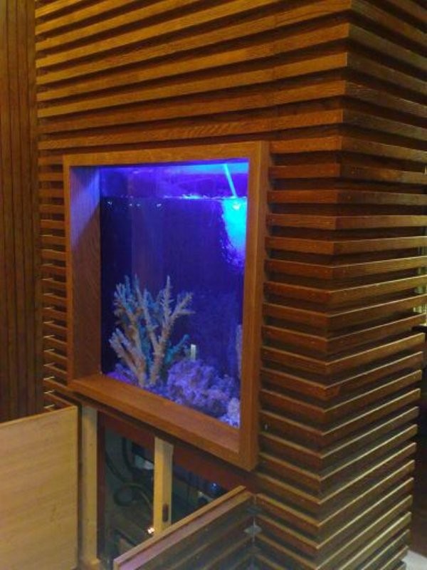 Tropical Aquariums Northern Ireland Clearly Aquatics