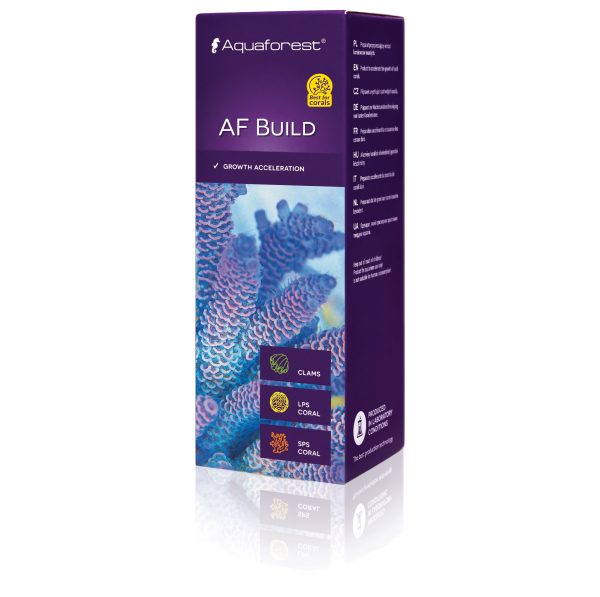 AF Build 50ml