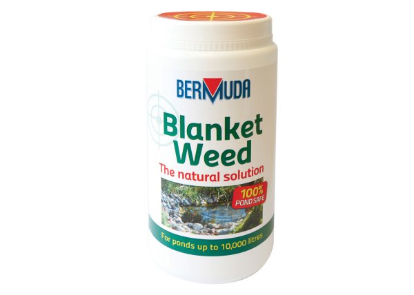 Bermuda Blanket weed 800gm