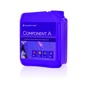 Component A 2000ml
